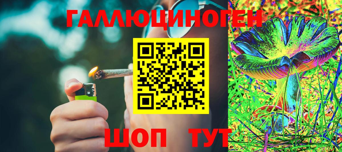 Псилоцибиновые грибы GOLDEN TEACHER Уварово